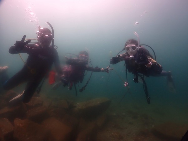 社会人女性におすすめ！ダイビングを始めて水族館のような世界へ！調布・府中・稲城から通いやすいダイビングスクール　