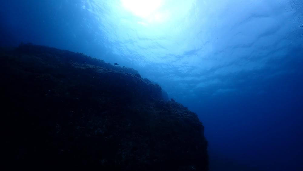 屋久島の深海