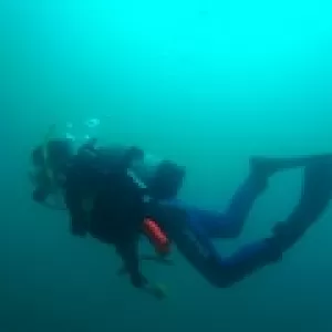 ダイビングスキルアップツアー　IN　黄金崎のサムネイル