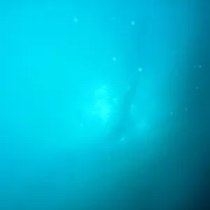 OWD海洋実習！透明度サイコーツアーのサムネイル