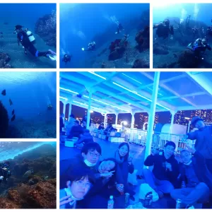 透明度抜群！ウミガメたくさん！冬の伊豆大島ツアー　記念ダイブいっぱい！　東京ダイビングスクールBeyondのサムネイル